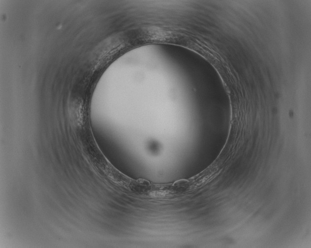 X0000067350216200604131759