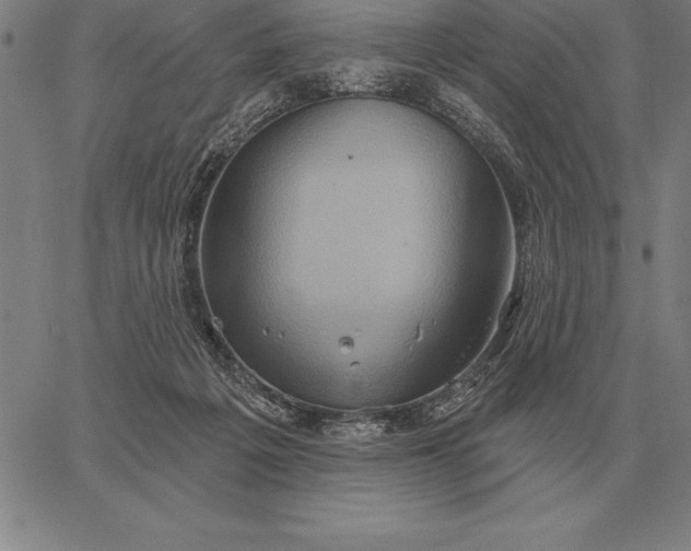 X0000067350217200604131759