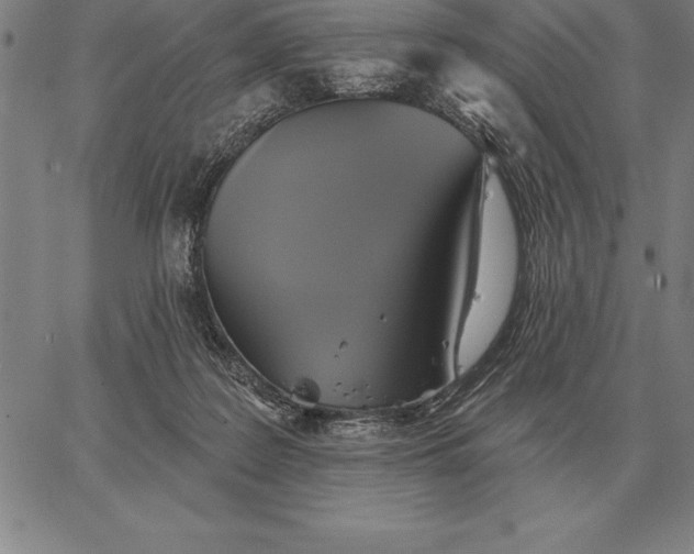 X0000067350219200604131759