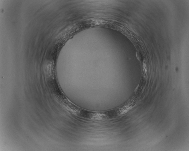 X0000067350222200604131759