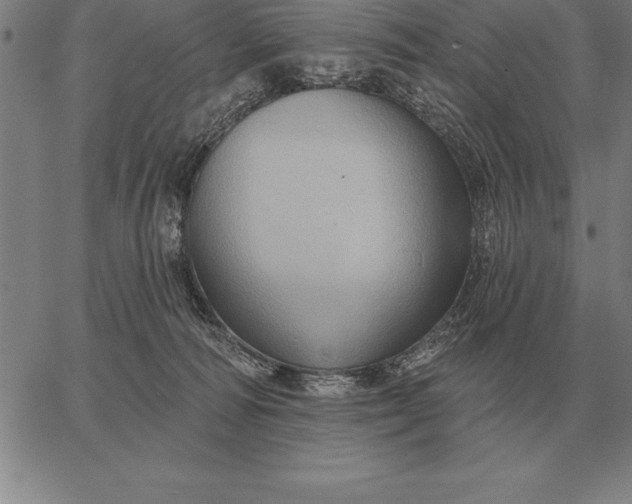 X0000067350226200604131758