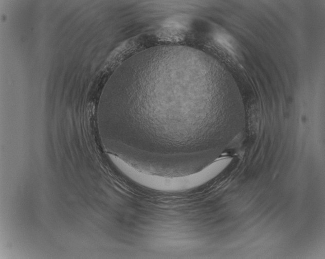 X0000067350229200604131758