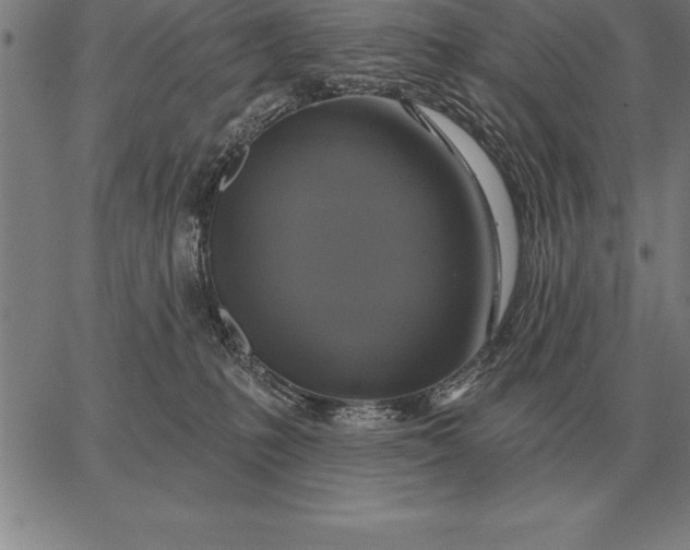 X0000067350231200604131758