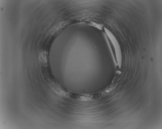 X0000067350232200604131758