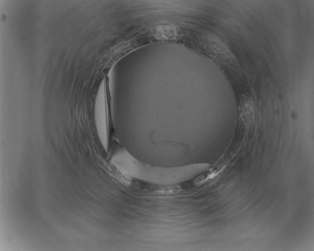 X0000067350233200604131758