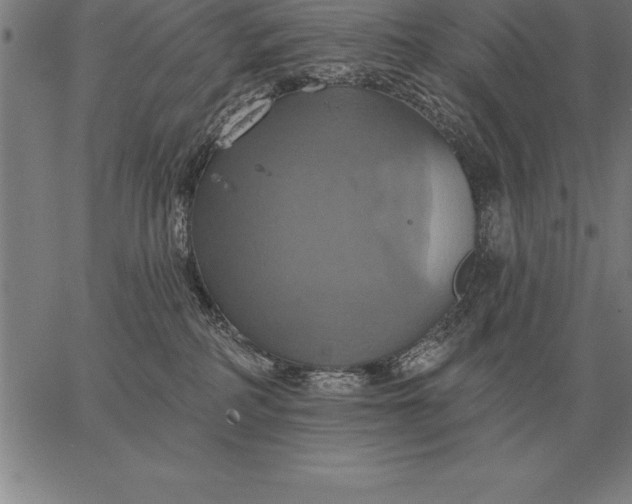 X0000067350234200604131758