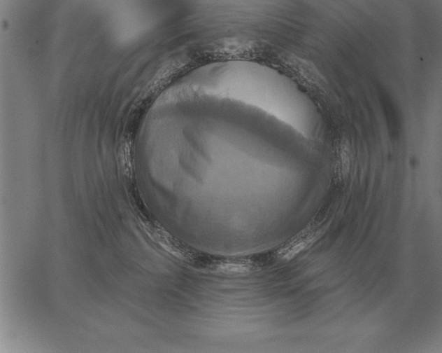 X0000067350236200604131758