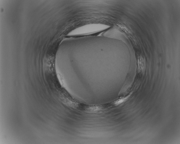 X0000067350237200604131758