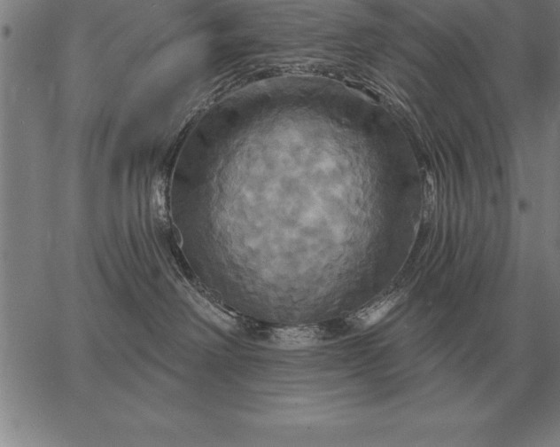 X0000067350238200604131758