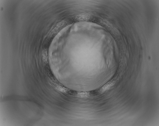 X0000067350240200604131758