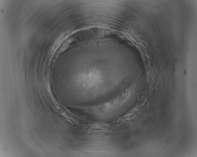 X0000067350241200604131757