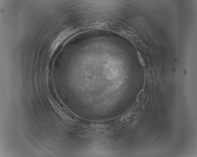 X0000067350242200604131757