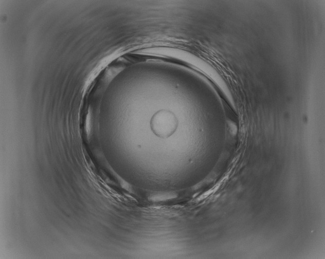 X0000067350244200604131758