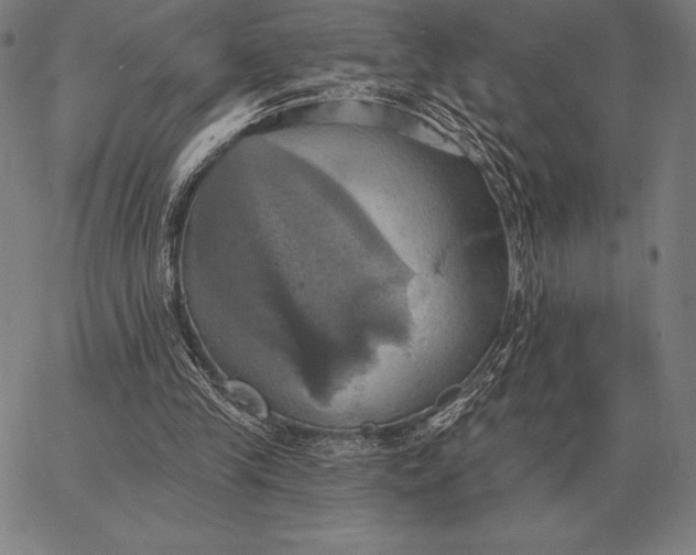 X0000067350245200604131758