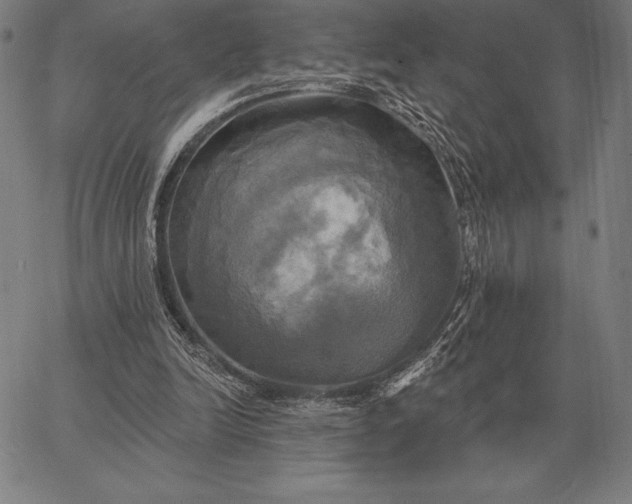 X0000067350246200604131758