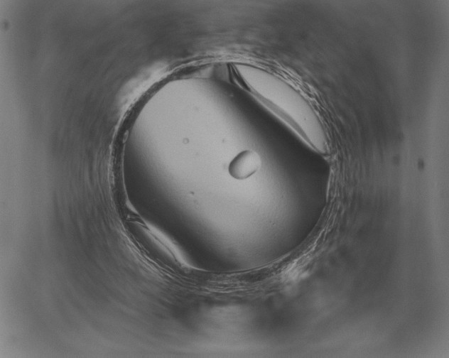 X0000067350248200604131758