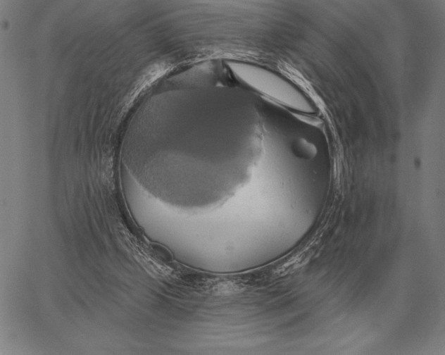 X0000067350249200604131758