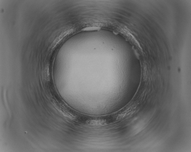 X0000067350251200604131758