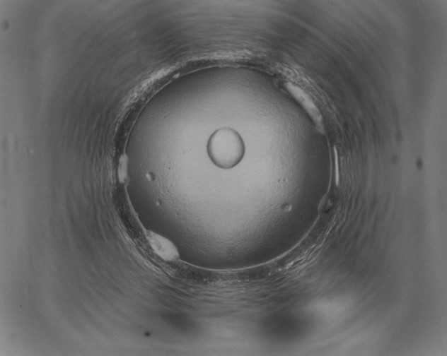 X0000067350252200604131758