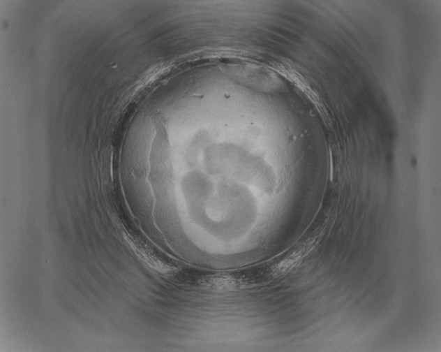 X0000067350253200604131758