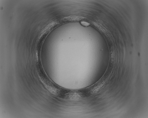 X0000067350254200604131758