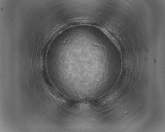 X0000067350255200604131758