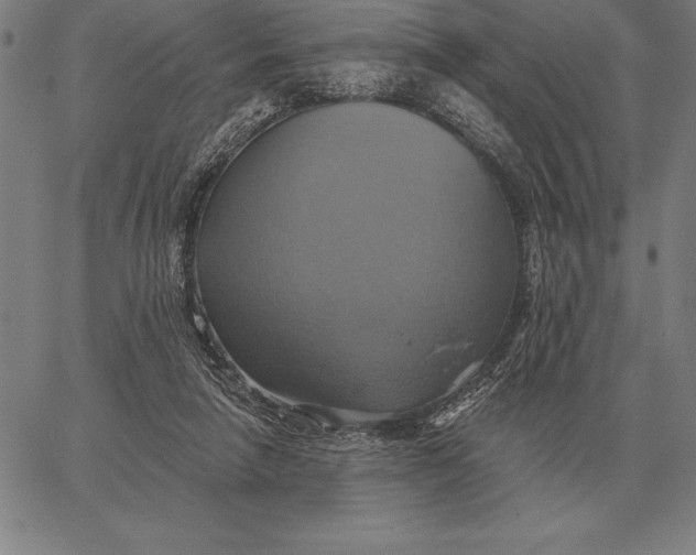 X0000067350258200604131758