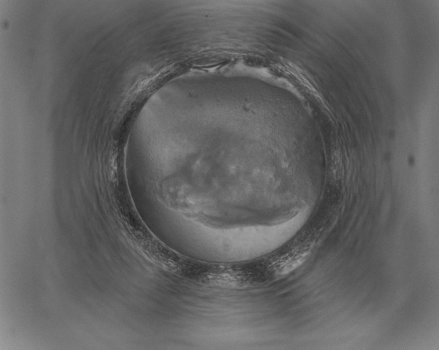 X0000067350259200604131758