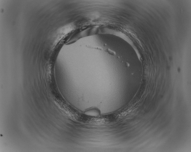 X0000067350260200604131758