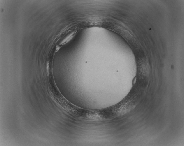 X0000067350262200604131758