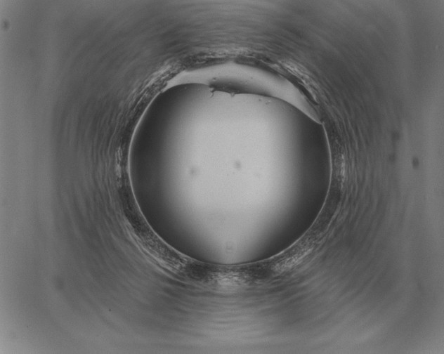 X0000067350264200604131758