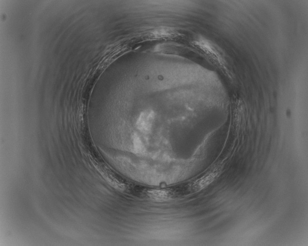 X0000067350265200604131758