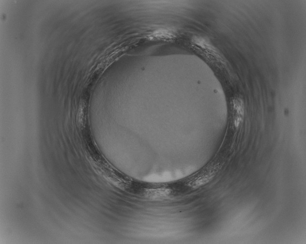 X0000067350266200604131758