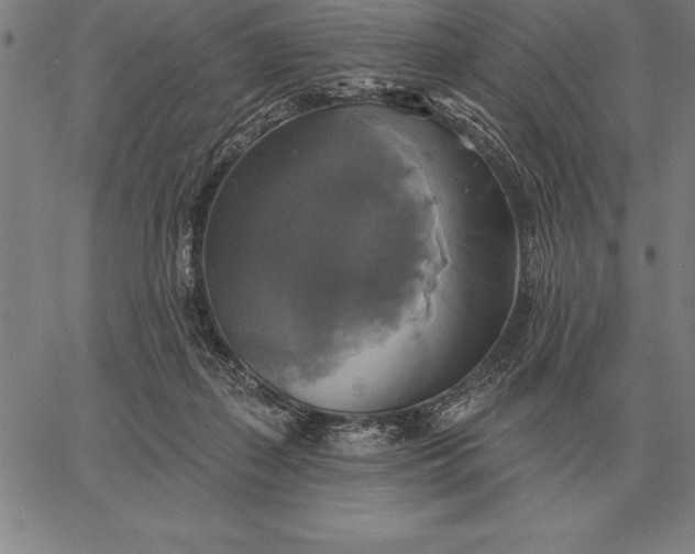 X0000067350267200604131758