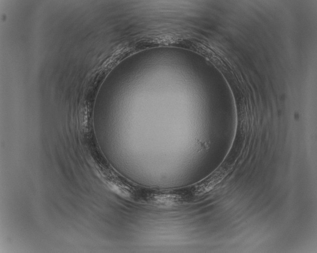 X0000067350268200604131758