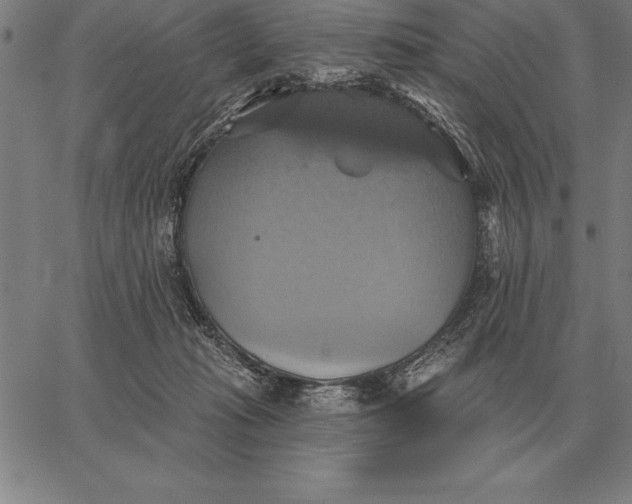 X0000067350269200604131758