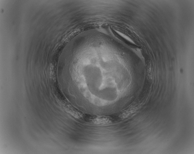 X0000067350270200604131758