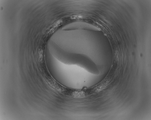 X0000067350271200604131758