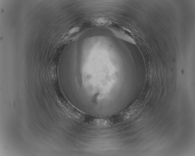 X0000067350272200604131758