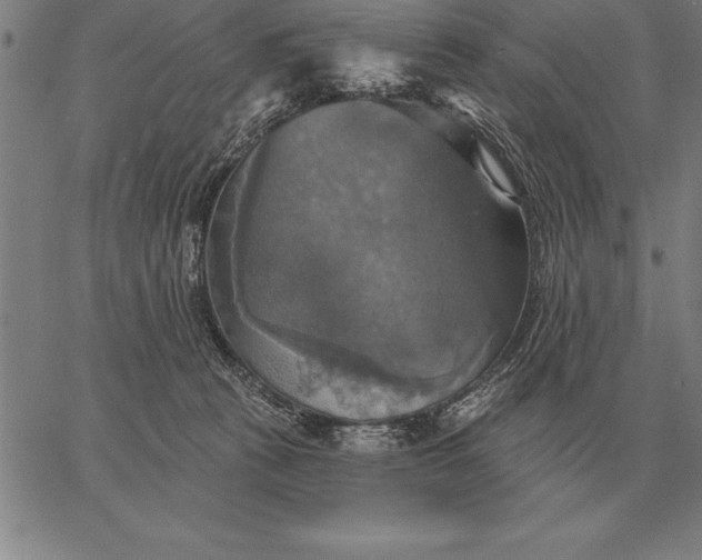 X0000067350273200604131758