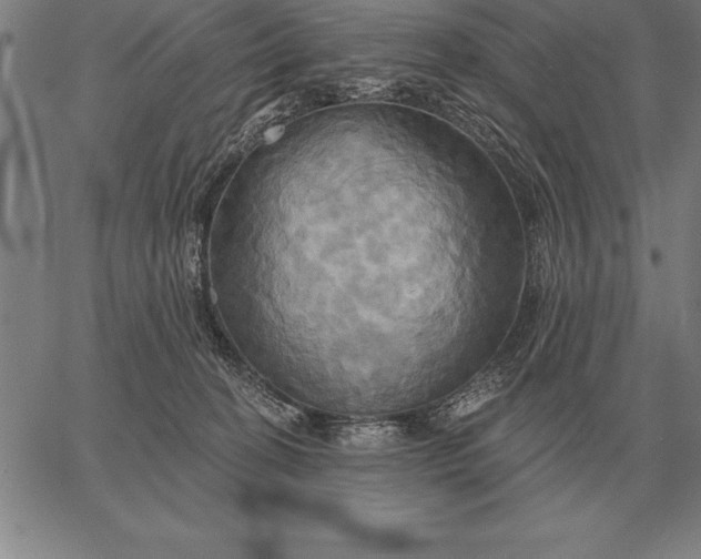 X0000067350274200604131758