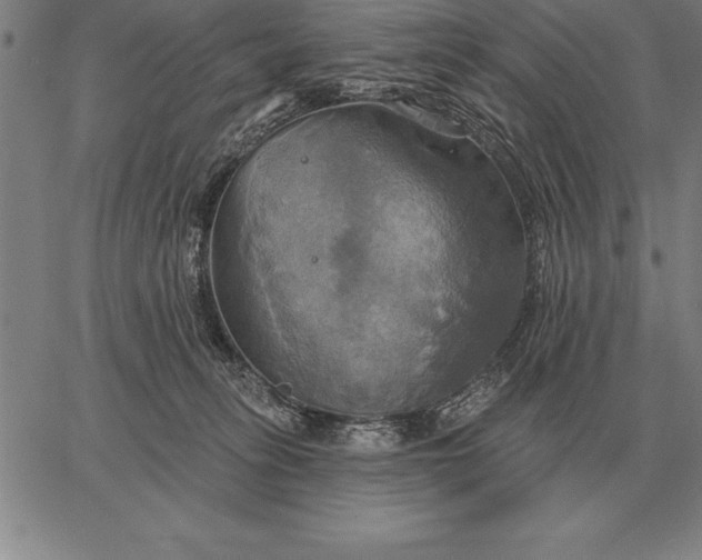 X0000067350275200604131758