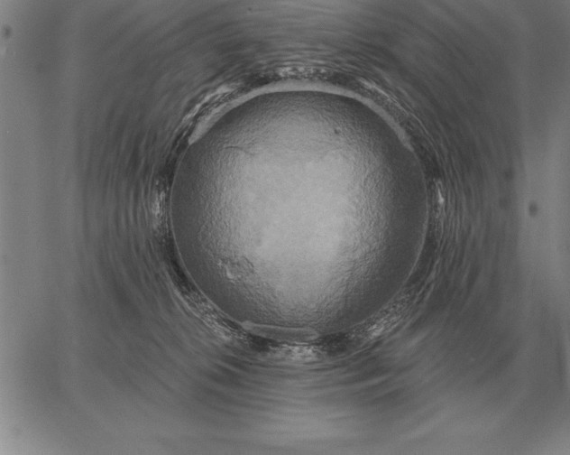 X0000067350276200604131758