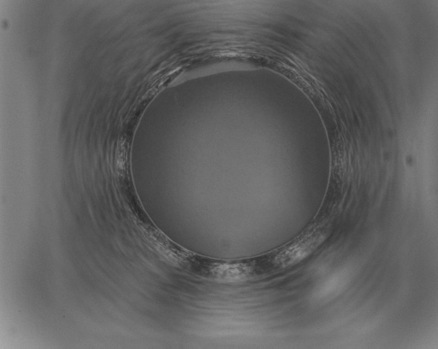 X0000067350277200604131758