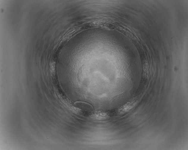 X0000067350278200604131758