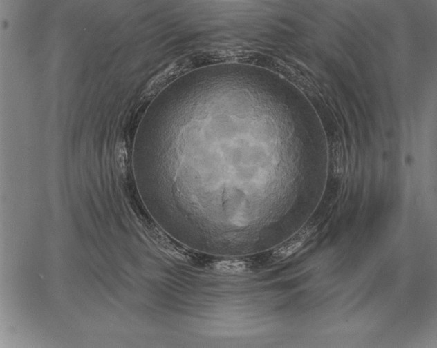 X0000067350279200604131758