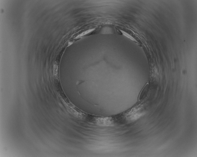 X0000067350281200604131758