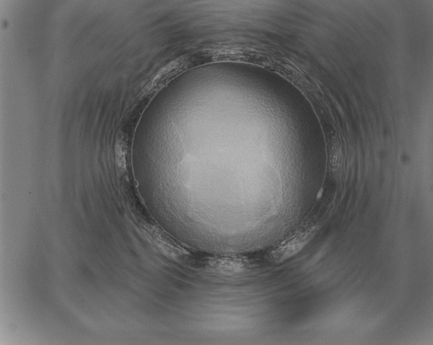 X0000067350282200604131758