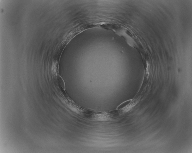 X0000067350286200604131758