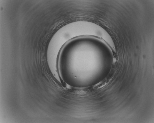 X0000067350287200604131758